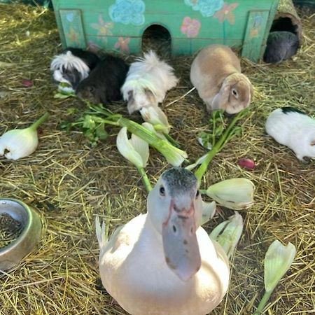 Sejour A La Ferme Villa Jouques Екстериор снимка