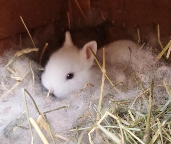 Sejour A La Ferme Villa Jouques Екстериор снимка