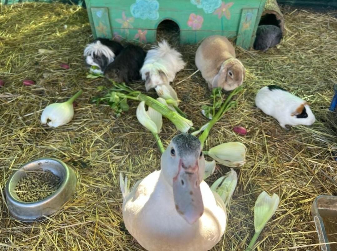 Sejour A La Ferme Villa Jouques Екстериор снимка