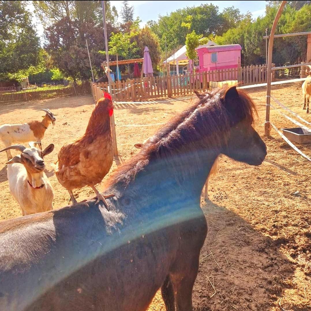 Sejour A La Ferme Villa Jouques Екстериор снимка